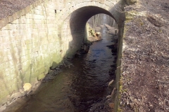 CAM00162