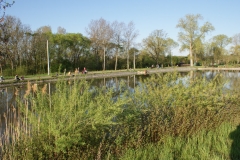 DSC01707