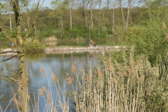 DSC01718