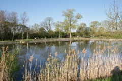 DSC01720