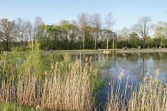 DSC01721