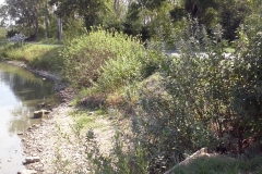 CAM01543