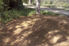 CAM01589