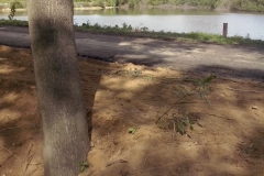CAM01590