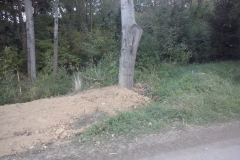 CAM01606