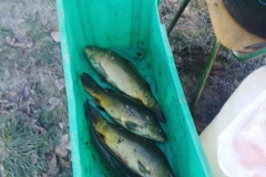 received_342611112962710