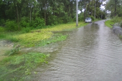 DSC01500